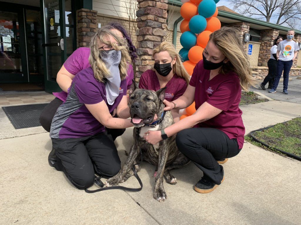 Officially adopted! Ethan the dog cheered by caretakers as he heads to forever home